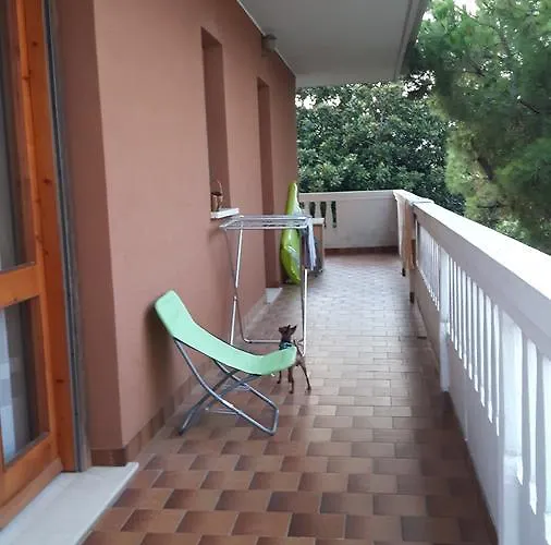 Magnolia * Линьяно-Саббьядоро